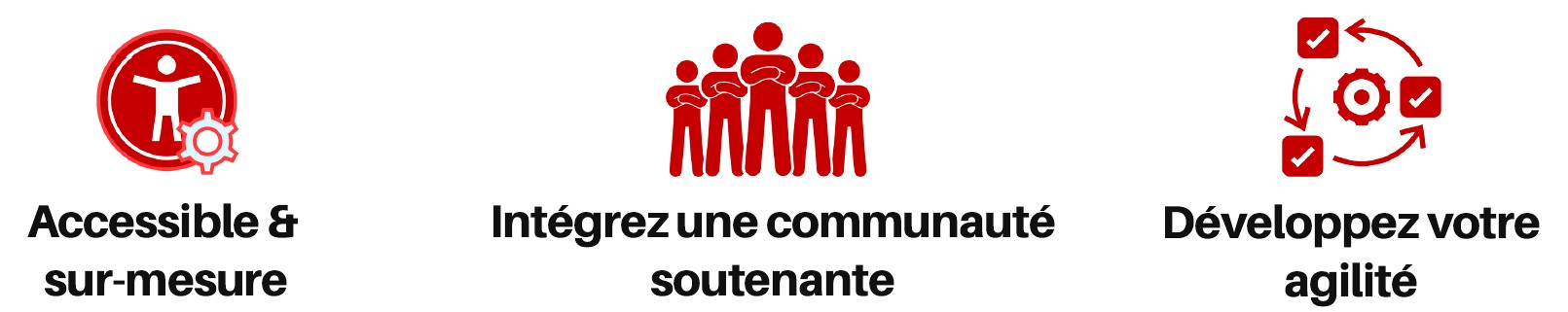 Sans titre 20.jpg