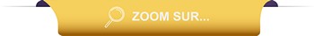 rubrique zoom sur v2_2@4x.png