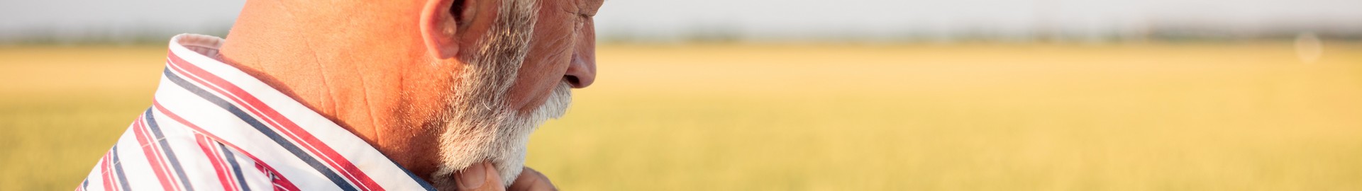 Image de fond